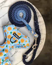 Load image into Gallery viewer, Barkeroni Harness