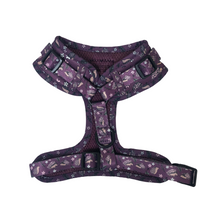 Load image into Gallery viewer, Looking Sharp Harness