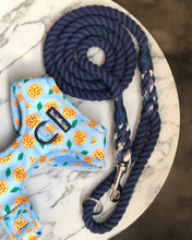 Load image into Gallery viewer, Barkeroni Harness