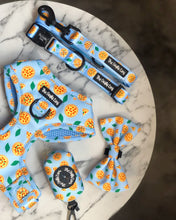 Load image into Gallery viewer, Barkeroni Harness