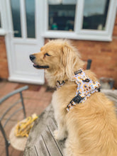 Load image into Gallery viewer, Sunpower Explorer Harness - *SECONDS *