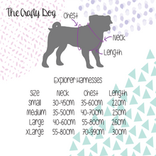 Load image into Gallery viewer, Sunpower Explorer Harness - *SECONDS *