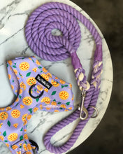 Load image into Gallery viewer, Pizza My Heart Harness