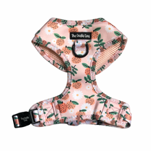 Load image into Gallery viewer, Orange Blossom Harness