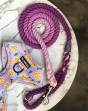 Load image into Gallery viewer, Pizza My Heart Harness