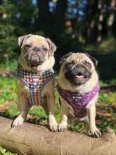 Load image into Gallery viewer, Grandad Plaid Harness