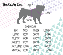 Load image into Gallery viewer, Funguy