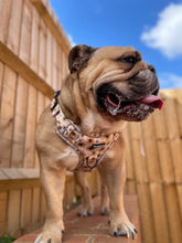 Load image into Gallery viewer, Sunpower Explorer Harness - *SECONDS *