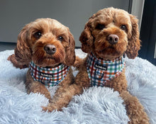 Load image into Gallery viewer, Grandad Plaid Harness