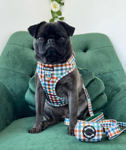 Load image into Gallery viewer, Grandad Plaid Harness
