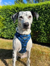 Load image into Gallery viewer, Whaling Around Harness