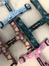 Load image into Gallery viewer, Kiwi Kisses