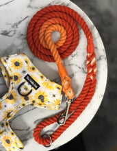 Load image into Gallery viewer, Pumpkin Spice Rope Lead
