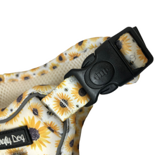 Load image into Gallery viewer, Sunpower Explorer Harness - *SECONDS *