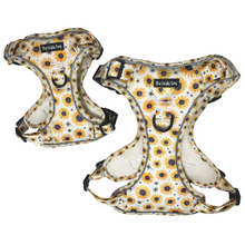 Load image into Gallery viewer, Sunpower Explorer Harness - *SECONDS *