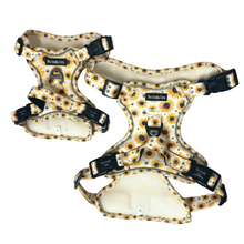 Load image into Gallery viewer, Sunpower Explorer Harness - *SECONDS *