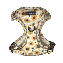 Load image into Gallery viewer, Sunpower Explorer Harness - *SECONDS *