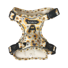 Load image into Gallery viewer, Sunpower Explorer Harness - *SECONDS *