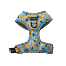 Load image into Gallery viewer, Barkeroni Harness