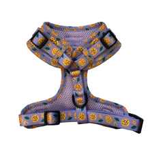 Load image into Gallery viewer, Pizza My Heart Harness