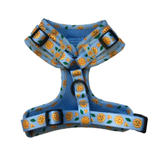 Load image into Gallery viewer, Barkeroni Harness