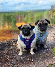 Load image into Gallery viewer, Deer Oh Deer *SECONDS*