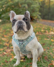 Load image into Gallery viewer, Deer Oh Deer *SECONDS*