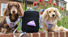 Load image into Gallery viewer, Picnic Plaid  Adventure Bag Strap