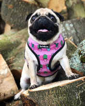 Load image into Gallery viewer, Can't Touch This - Pink