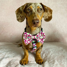 Load image into Gallery viewer, Kiwi Kisses