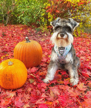 Load image into Gallery viewer, Deer Oh Deer *SECONDS*