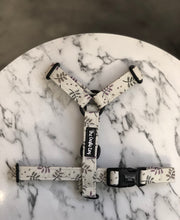 Load image into Gallery viewer, Winter Walks Strap Harness