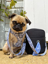Load image into Gallery viewer, Raccoon Bloom  Adventure Bag Strap