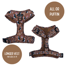 Load image into Gallery viewer, Puffin Spice Bundle: Harness + Lead + PBH