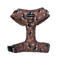 Load image into Gallery viewer, Puffin Spice Bundle: Harness + Lead + PBH