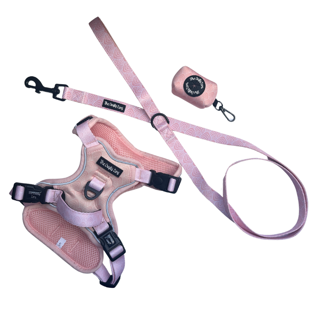 Coral Bundle: Harness + Lead + PBH