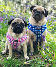 Load image into Gallery viewer, Blueberry Plaid Bundle: Harness + Lead + PBH