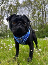 Load image into Gallery viewer, Blueberry Plaid Bundle: Harness + Lead + PBH