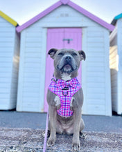 Load image into Gallery viewer, Bubblegum Plaid Harness