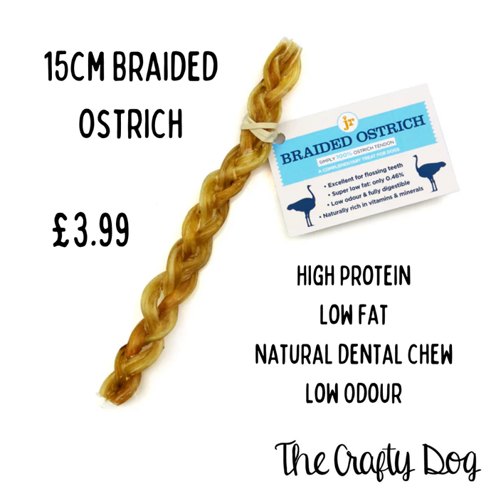 JR Pet Products - Braided Ostrich Tendons - 15cm