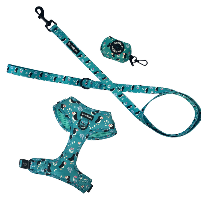 All Or Puffin Bundle: Harness + Lead + PBH