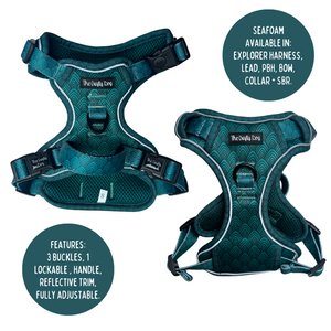 Seafoam Bundle: Harness + Lead + PBH