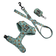 Load image into Gallery viewer, The Crafty Cow Bundle: Harness + Lead + PBH