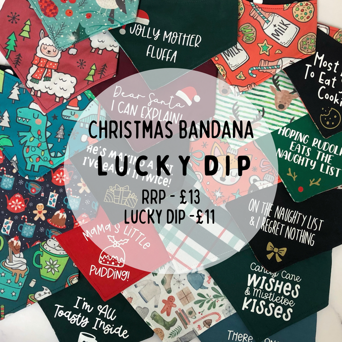 Lucky Dip Christmas Bandana