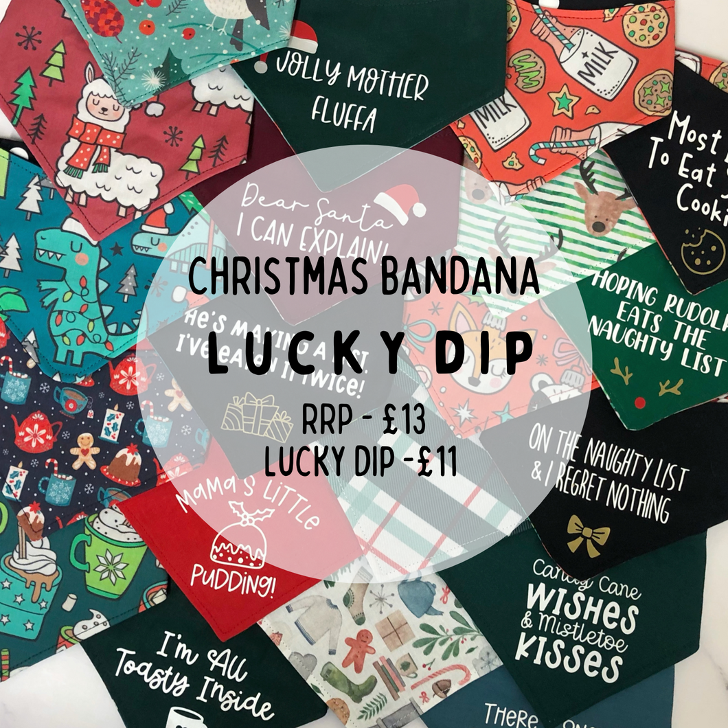 Gift Set FIVE - Lucky Dip Christmas Bandana