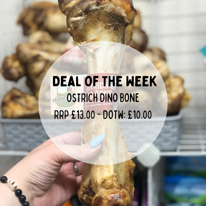 Ostrich Dino Bone - £10