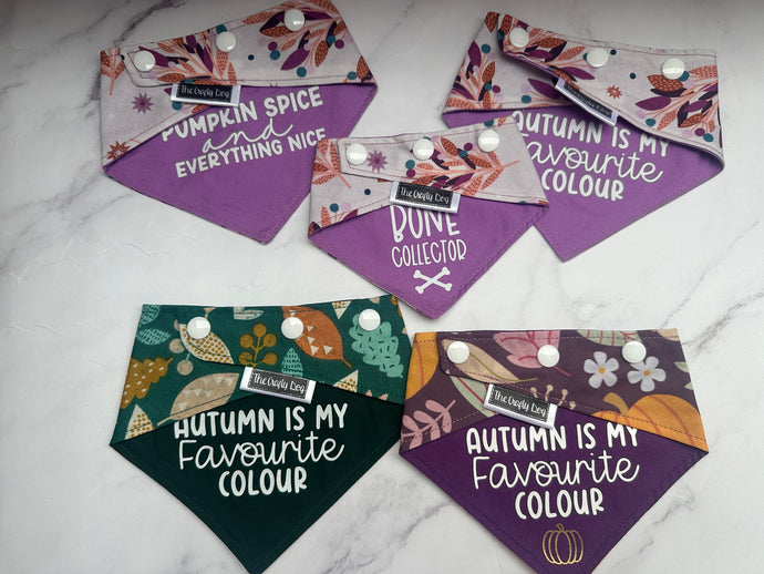 Autumn - Assorted - XS + Small
