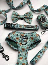 Load image into Gallery viewer, The Crafty Cow Bundle: Harness + Lead + PBH