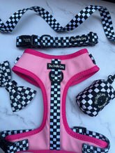 Load image into Gallery viewer, Girl Racer CHARITY Bundle: Harness + Lead + PBH