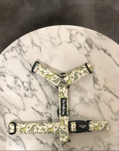 Dinosaur Strap Harness